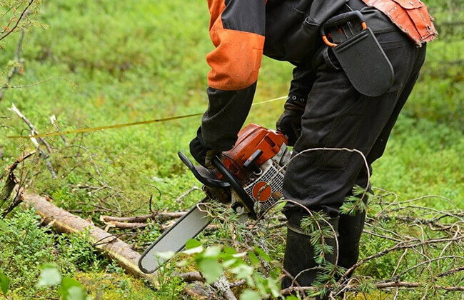 How Chain Saws Work