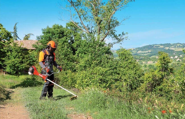 Maintenance and replacement of brush cutter blades