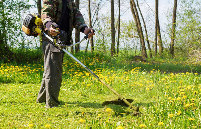 brush cutter