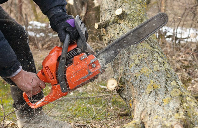 petrol chain saw