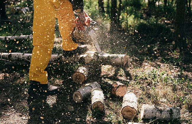 How To Use a Petrol Chainsaw Sharpener