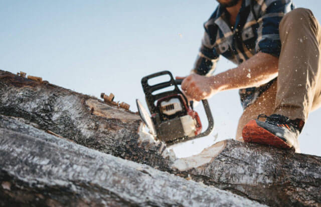 The Size Of Chainsaw Will Affect The Way You Cut Wood Or Logs